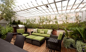 roof garden