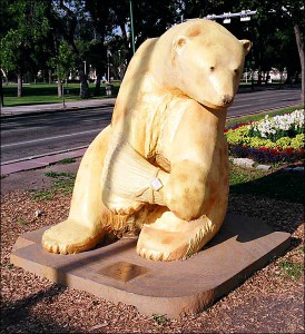 bear14